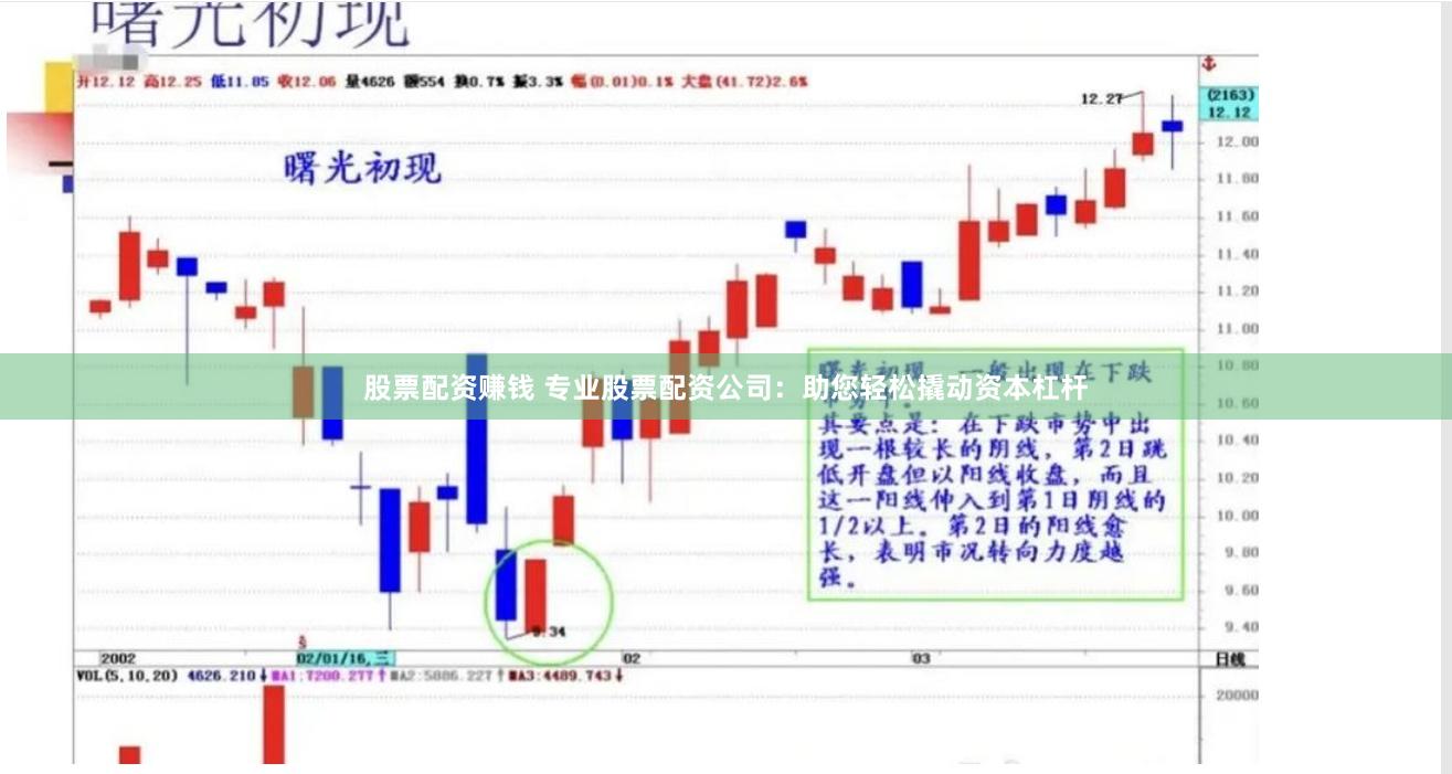 股票配资赚钱 专业股票配资公司：助您轻松撬动资本杠杆