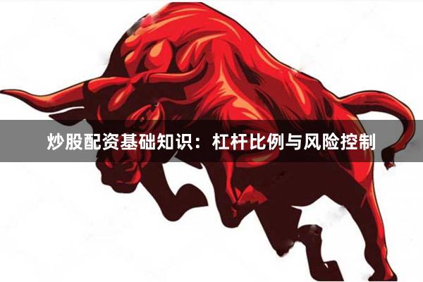 炒股配资基础知识：杠杆比例与风险控制