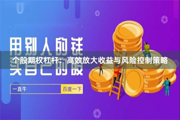个股期权杠杆：高效放大收益与风险控制策略