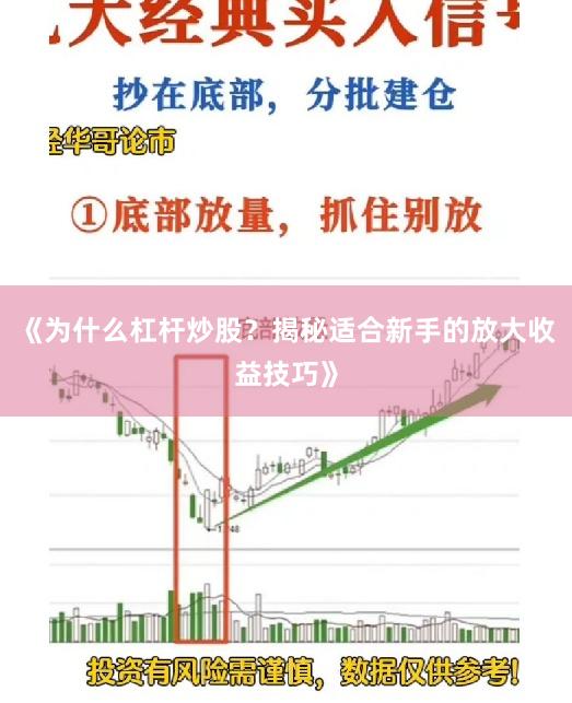 《为什么杠杆炒股?揭秘适合新手的放大收益技巧》