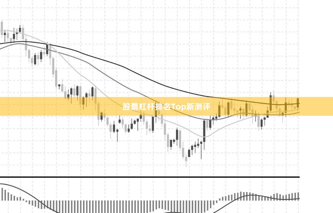 股票杠杆排名Top新测评